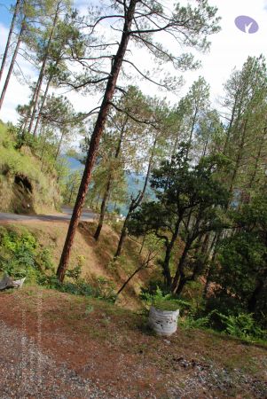 20080702 DSC 0213 CMP WM.jpg