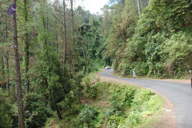 20080702 DSC 0214 CMP WM.jpg