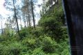 Thumbnail for version as of 05:59, 5 May 2021
