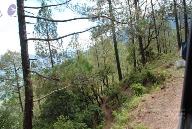 20080702 DSC 0235 CMP WM.jpg