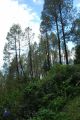 Thumbnail for version as of 06:00, 5 May 2021