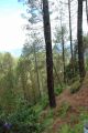 Thumbnail for version as of 06:00, 5 May 2021