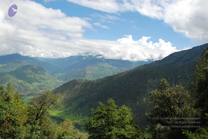 20080702 DSC 0261 CMP WM.jpg