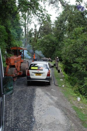 20080702 DSC 0283 CMP WM.jpg