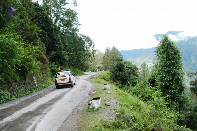 20080702 DSC 0299 CMP WM.jpg