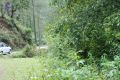 Thumbnail for version as of 06:08, 5 May 2021