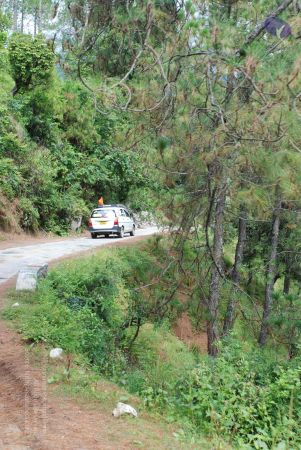 20080702 DSC 0341 CMP WM.jpg