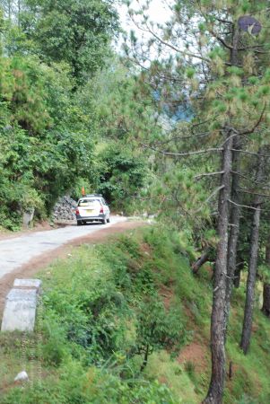 20080702 DSC 0342 CMP WM.jpg