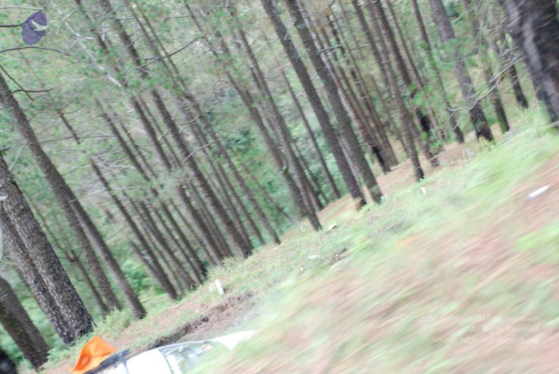 File:20080702 DSC 0348 CMP WM.jpg