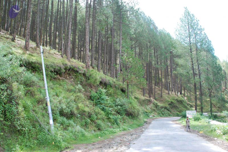 File:20080702 DSC 0354 CMP WM.jpg