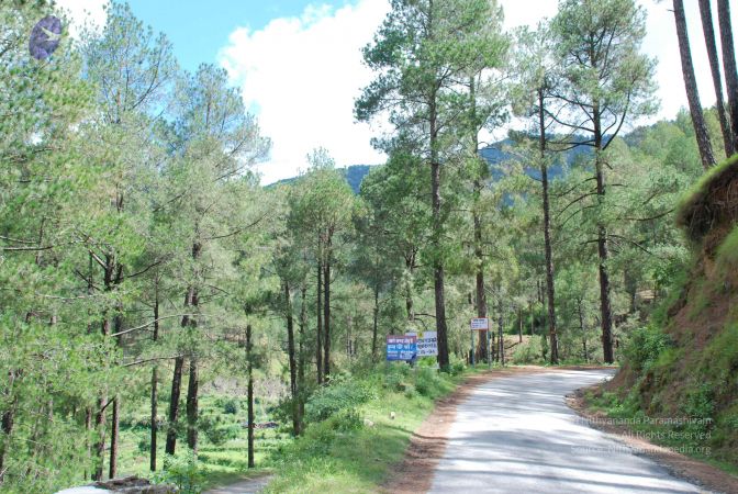 20080702 DSC 0372 CMP WM.jpg