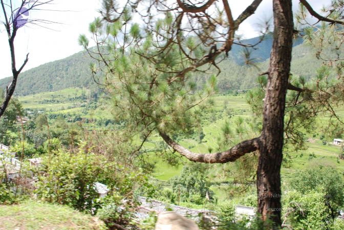 20080702 DSC 0427 CMP WM.jpg