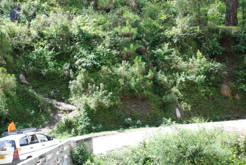 File:20080702 DSC 0437 CMP WM.jpg