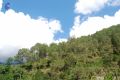 Thumbnail for version as of 06:12, 5 May 2021