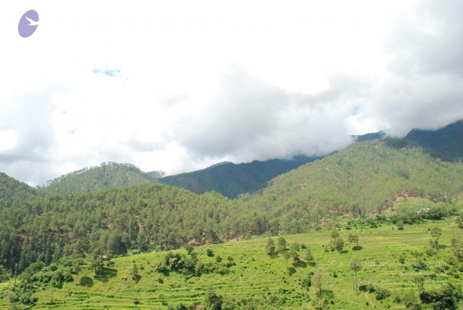 20080702 DSC 0449 CMP WM.jpg