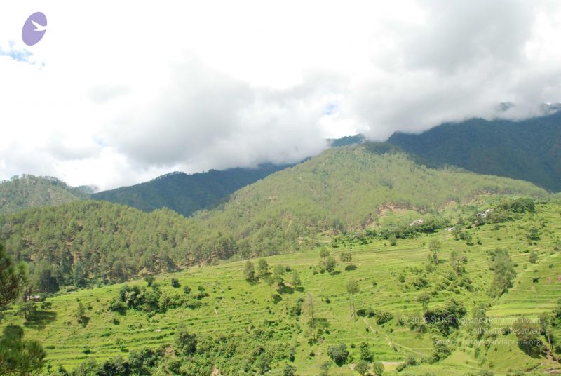 File:20080702 DSC 0450 CMP WM.jpg