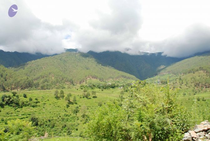 20080702 DSC 0453 CMP WM.jpg