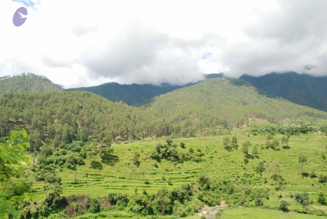 20080702 DSC 0456 CMP WM.jpg