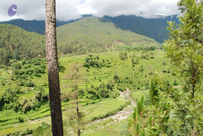 20080702 DSC 0460 CMP WM.jpg