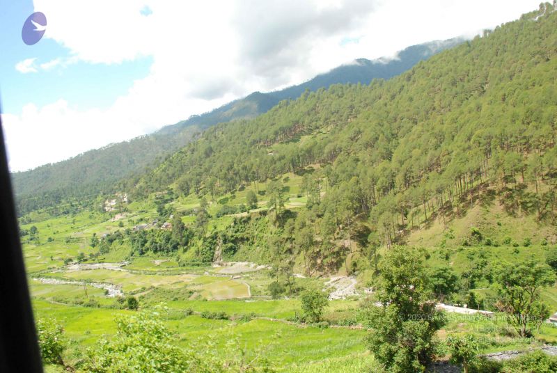 File:20080702 DSC 0474 CMP WM.jpg