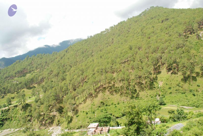 File:20080702 DSC 0476 CMP WM.jpg