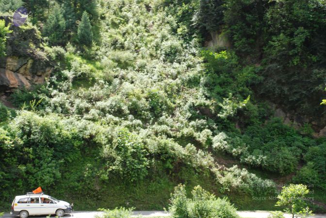 20080702 DSC 0489 CMP WM.jpg