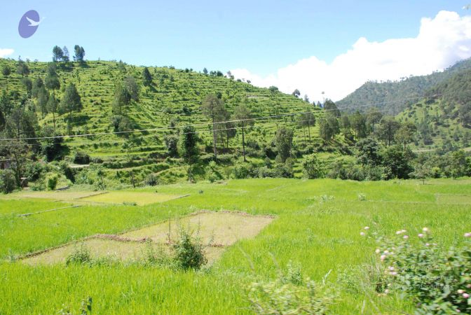 20080702 DSC 0494 CMP WM.jpg