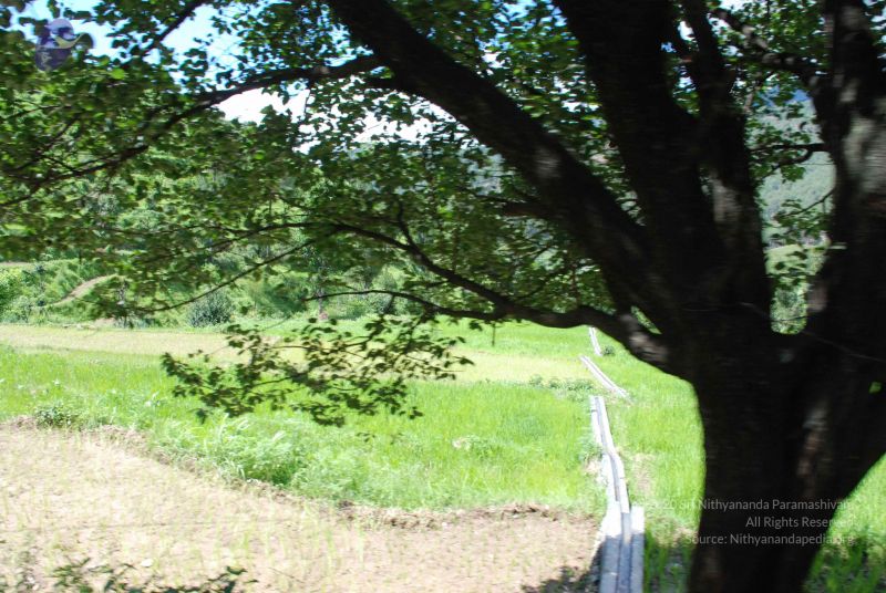 File:20080702 DSC 0497 CMP WM.jpg