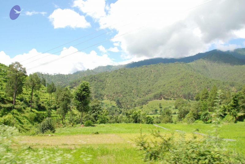 File:20080702 DSC 0499 CMP WM.jpg