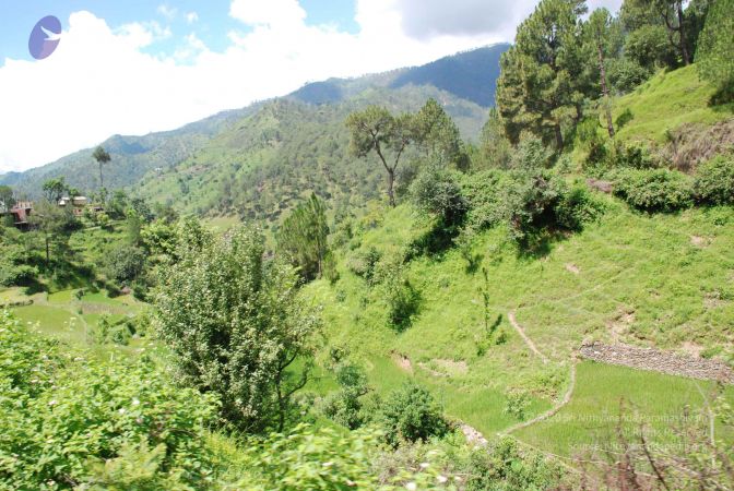 20080702 DSC 0502 CMP WM.jpg