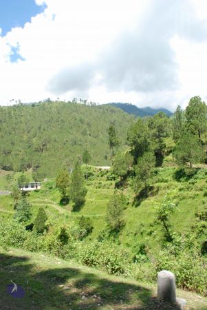 20080702 DSC 0536 CMP WM.jpg