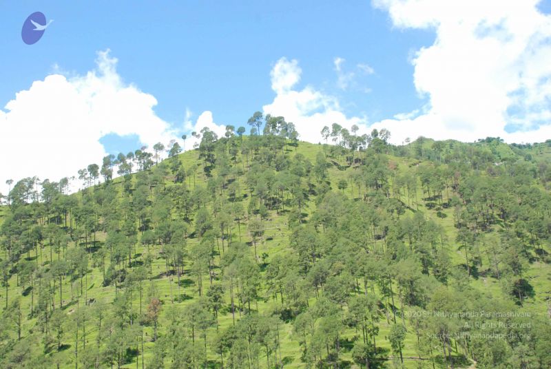 File:20080702 DSC 0543 CMP WM.jpg