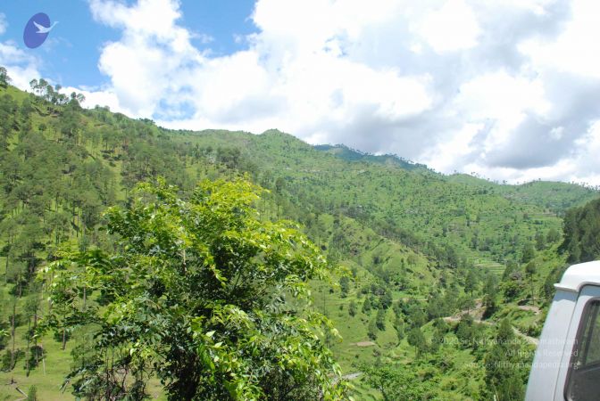 20080702 DSC 0549 CMP WM.jpg