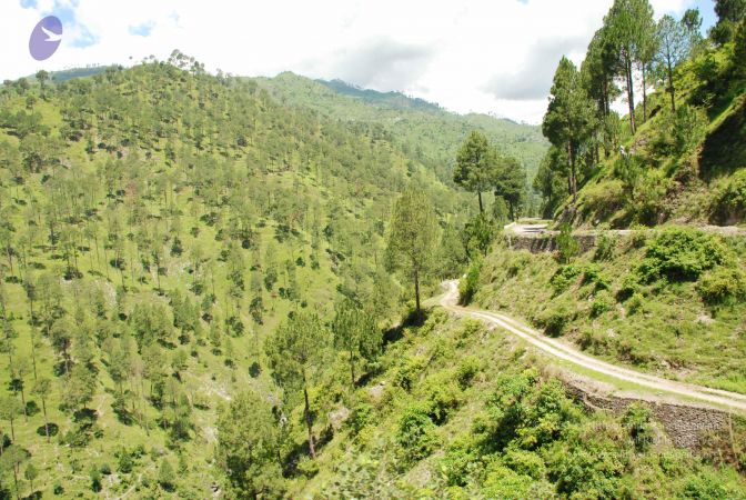 20080702 DSC 0556 CMP WM.jpg