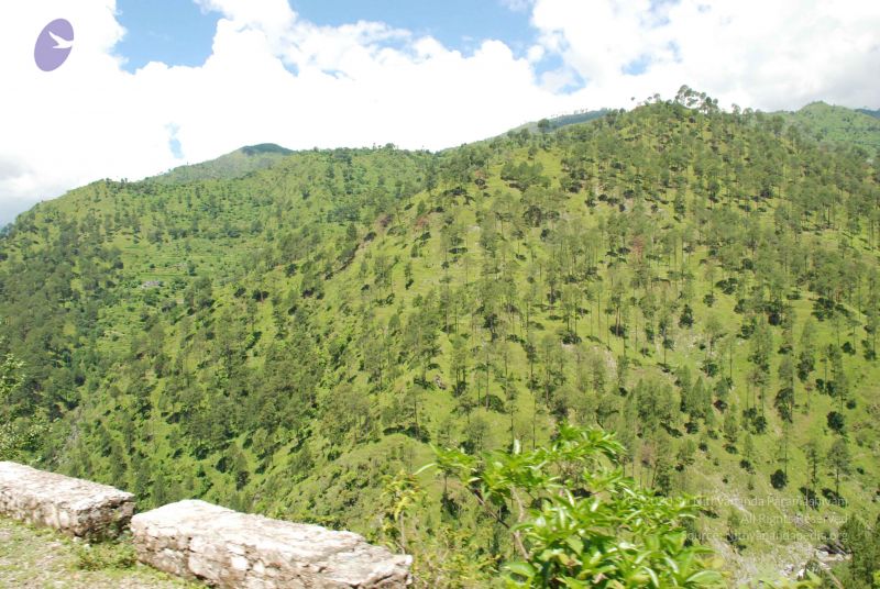 File:20080702 DSC 0558 CMP WM.jpg