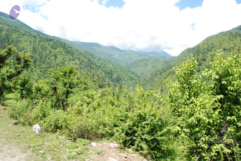 File:20080702 DSC 0563 CMP WM.jpg