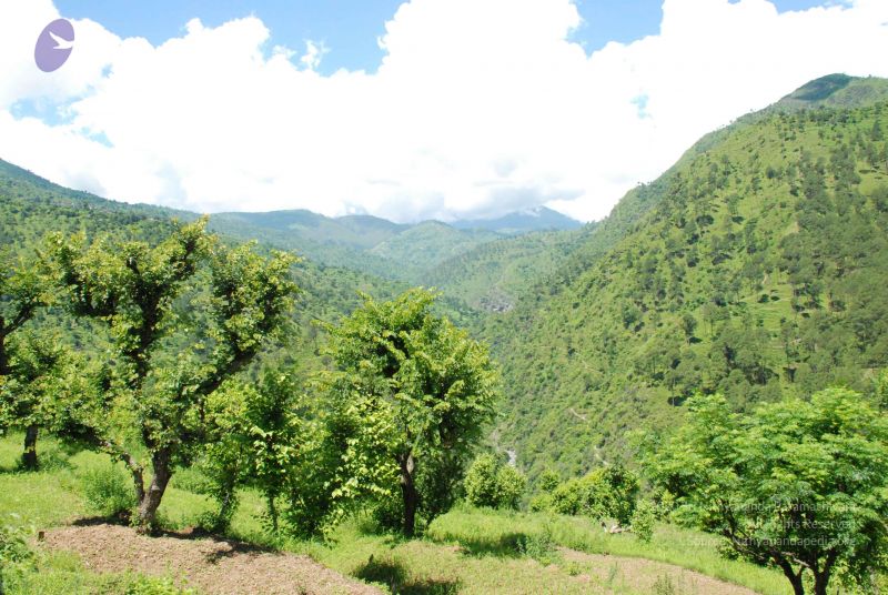 File:20080702 DSC 0564 CMP WM.jpg