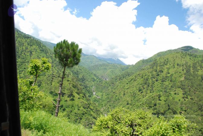 20080702 DSC 0566 CMP WM.jpg