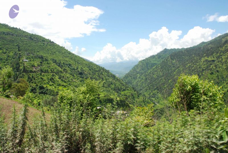 File:20080702 DSC 0577 CMP WM.jpg