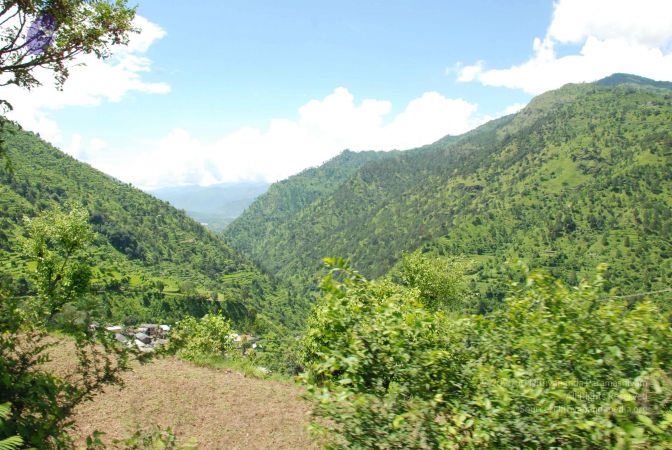 20080702 DSC 0578 CMP WM.jpg