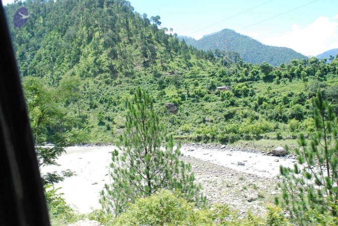 20080702 DSC 0583 CMP WM.jpg