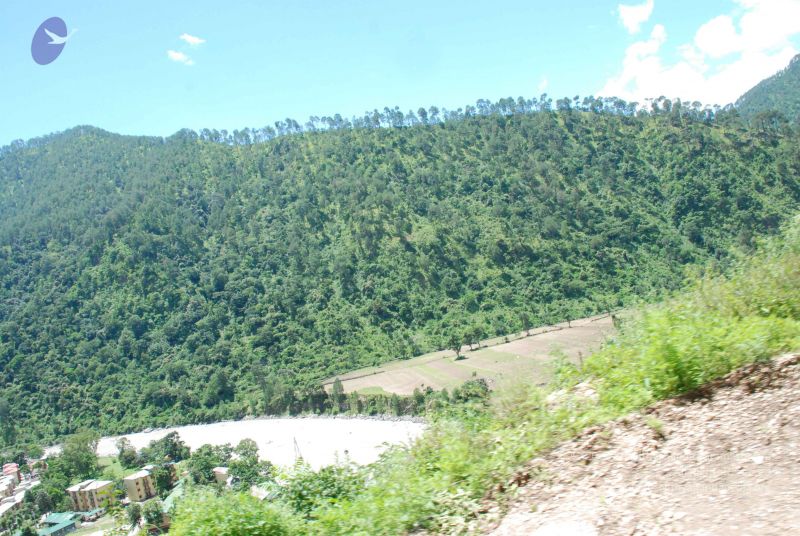 File:20080702 DSC 0600 CMP WM.jpg