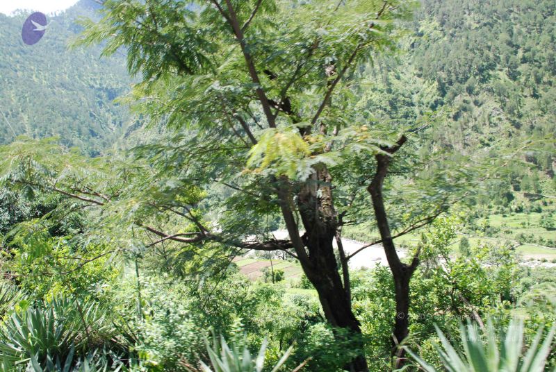 File:20080702 DSC 0624 CMP WM.jpg