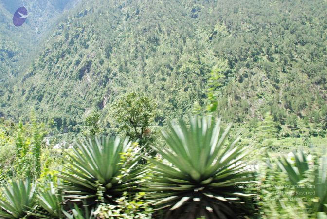 20080702 DSC 0625 CMP WM.jpg