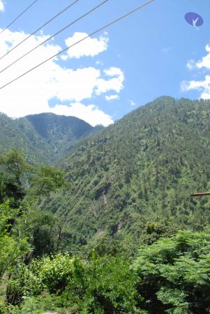 20080702 DSC 0627 CMP WM.jpg