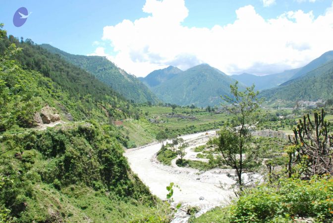 20080702 DSC 0649 CMP WM.jpg