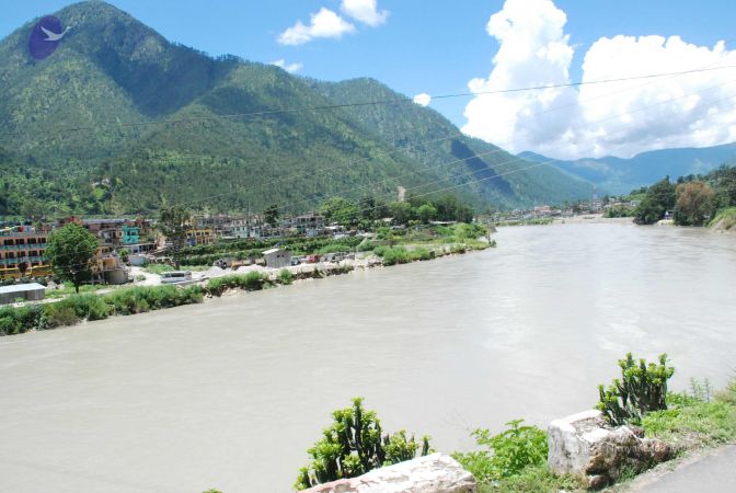 20080702 DSC 0692 CMP WM.jpg