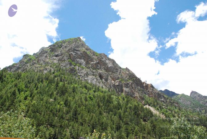 20080702 Photo 1060 1DXq8jh3RfrSG1SWxC-NjdLSVsUi27BN8.JPG