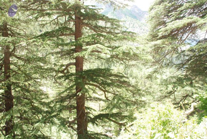 20080702 Photo 1072 1wg3Qp78zIlARul-UBWDN6QT7mpB7aXJX.JPG