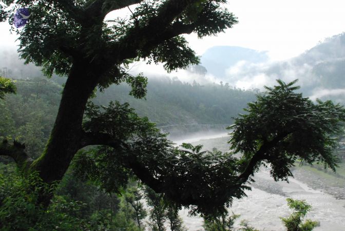 20080702 Photo 1198 1R8MprMIFnNNiRx8SstkMEbNwQw5tGEbJ.JPG